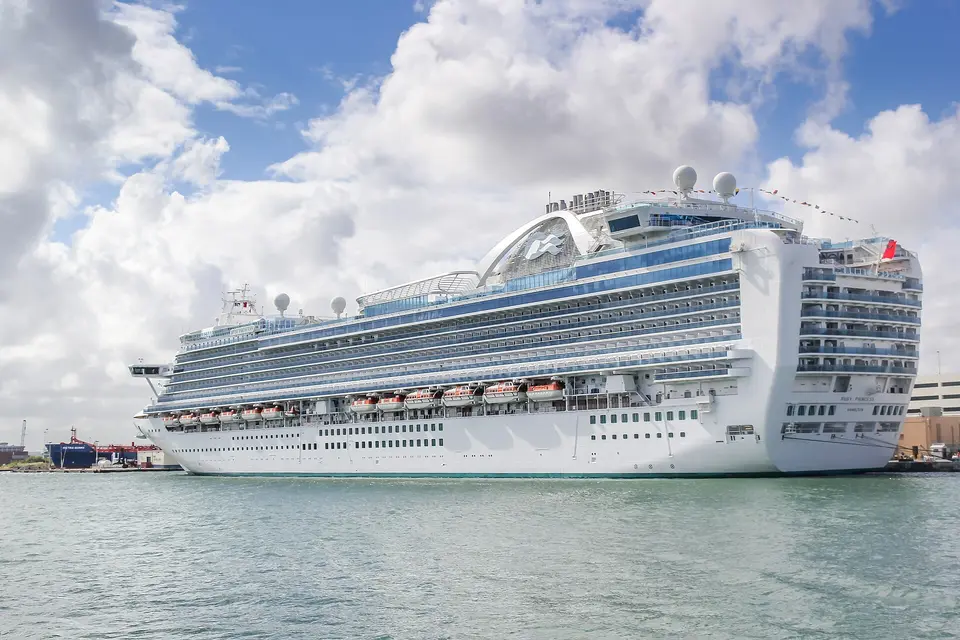 Ruby Princess（Princess Cruises）が港に停泊中の外観
